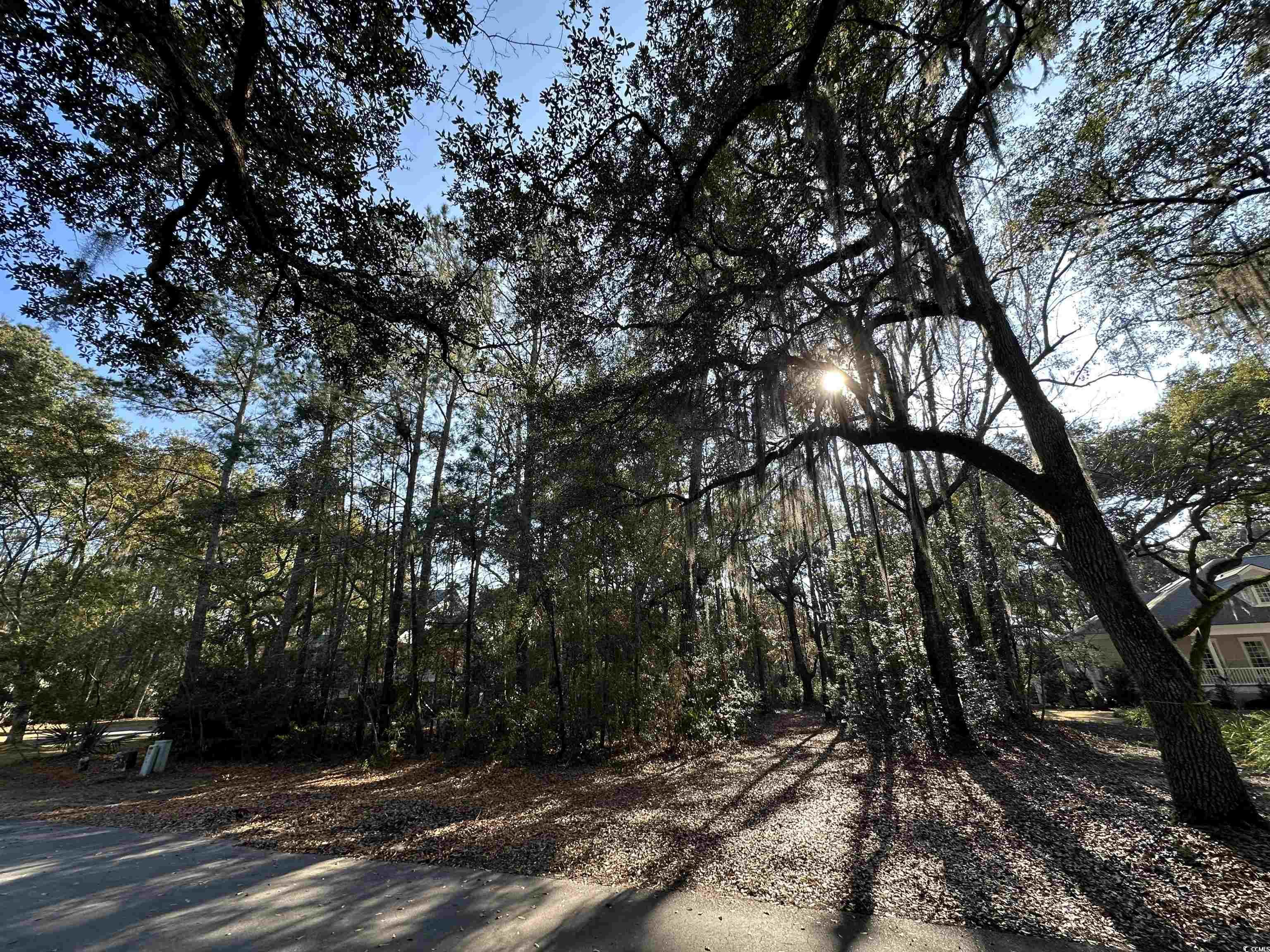 Lot 173 Sanderling Ave.