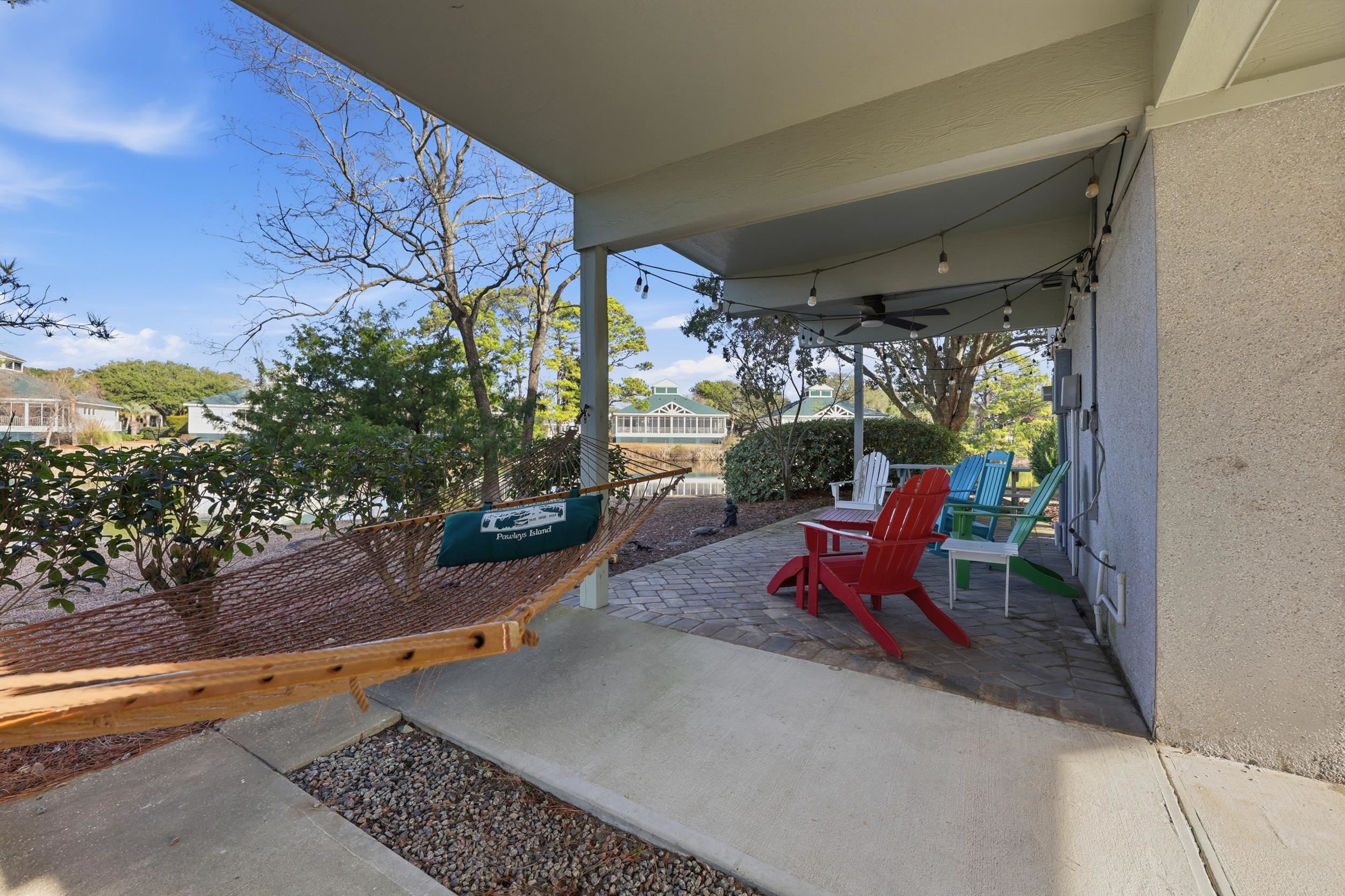 32 Spot Tail at Oystercatcher