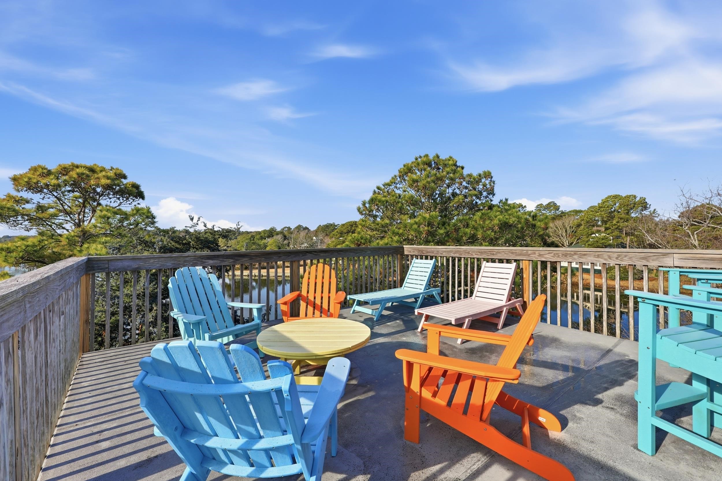 32 Spot Tail at Oystercatcher