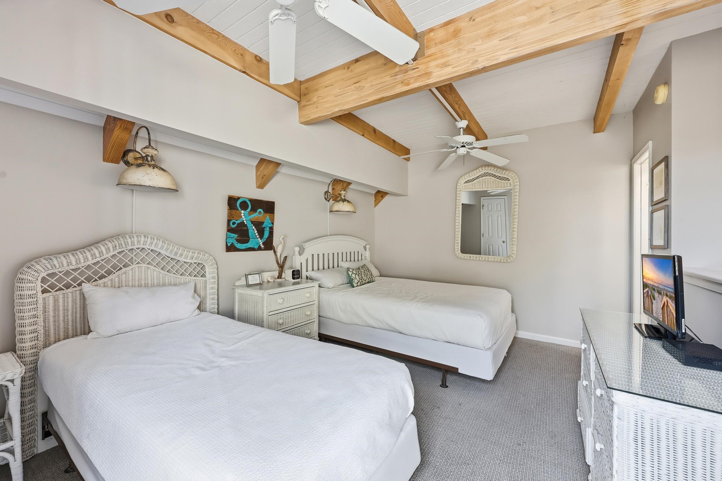 32 Spot Tail at Oystercatcher