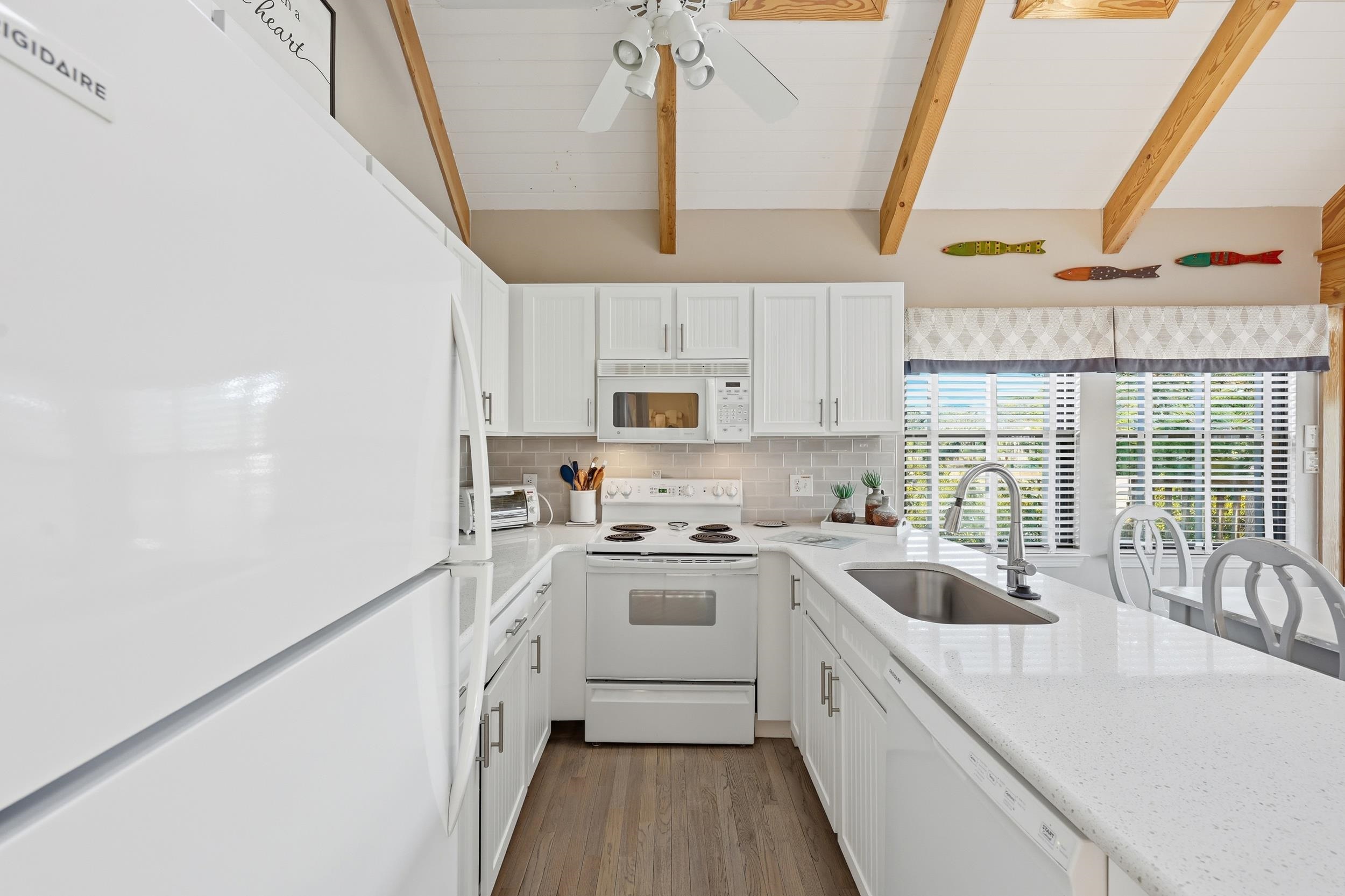 32 Spot Tail at Oystercatcher