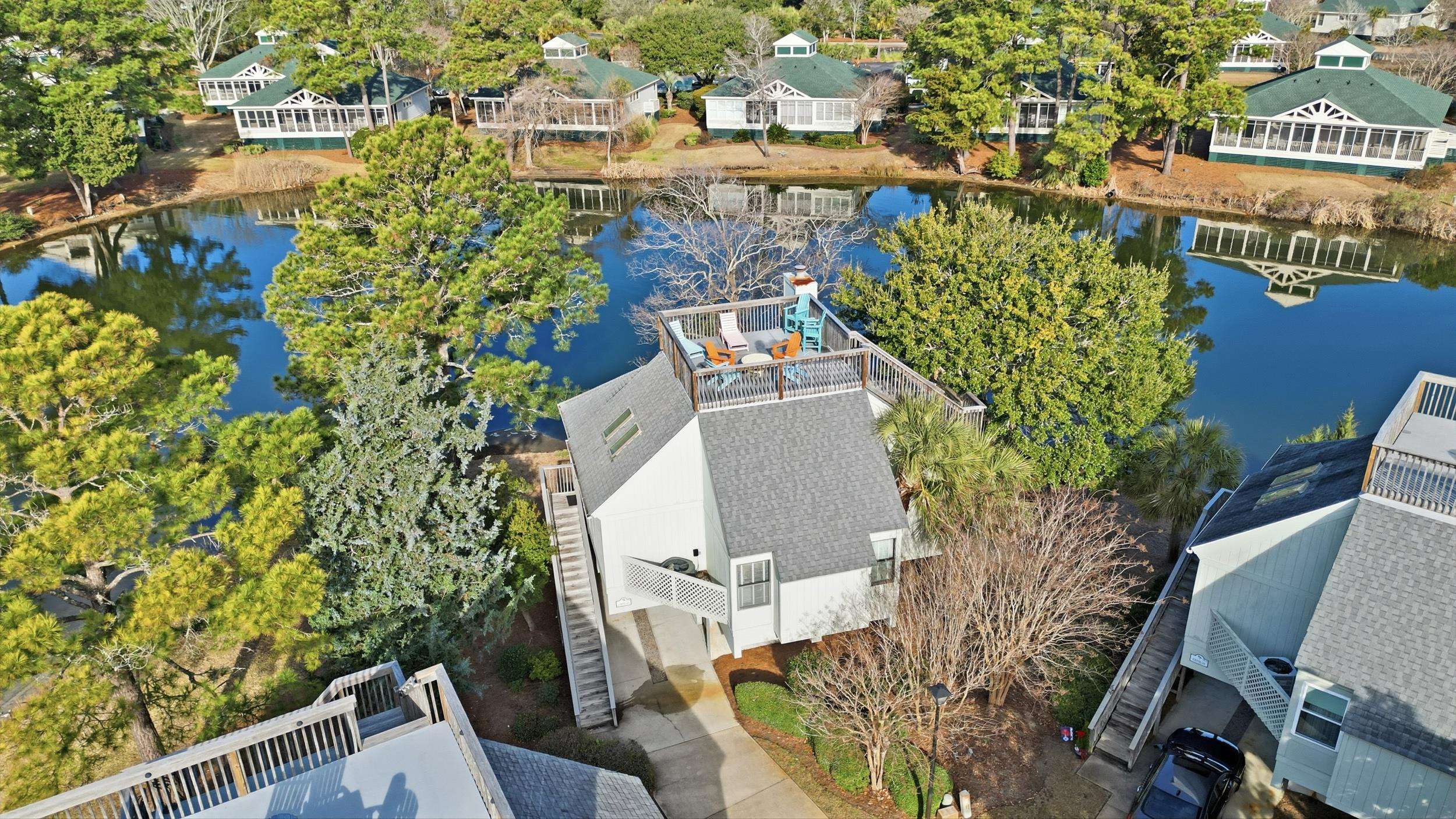 32 Spot Tail at Oystercatcher