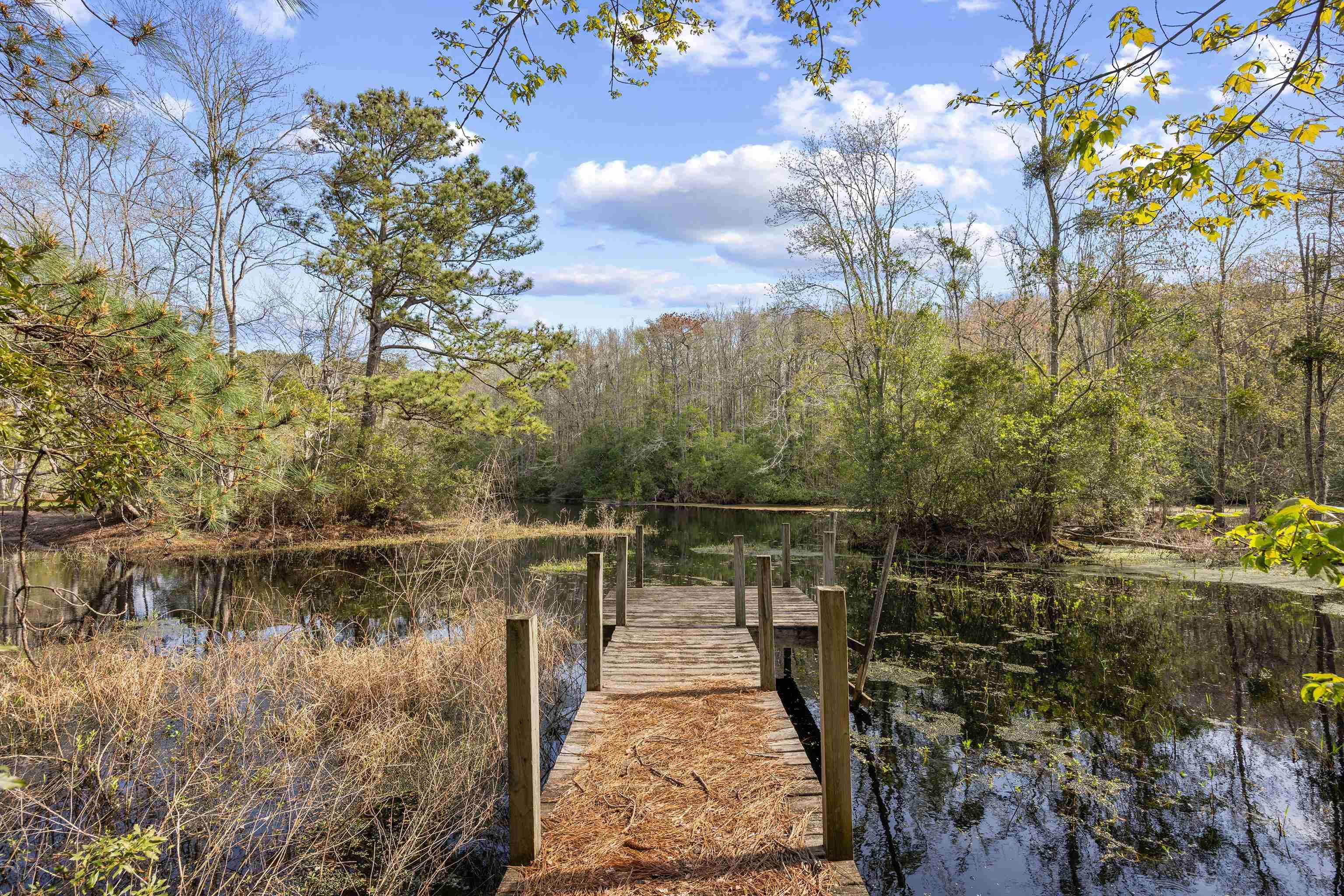 225 Red Maple Dr.
