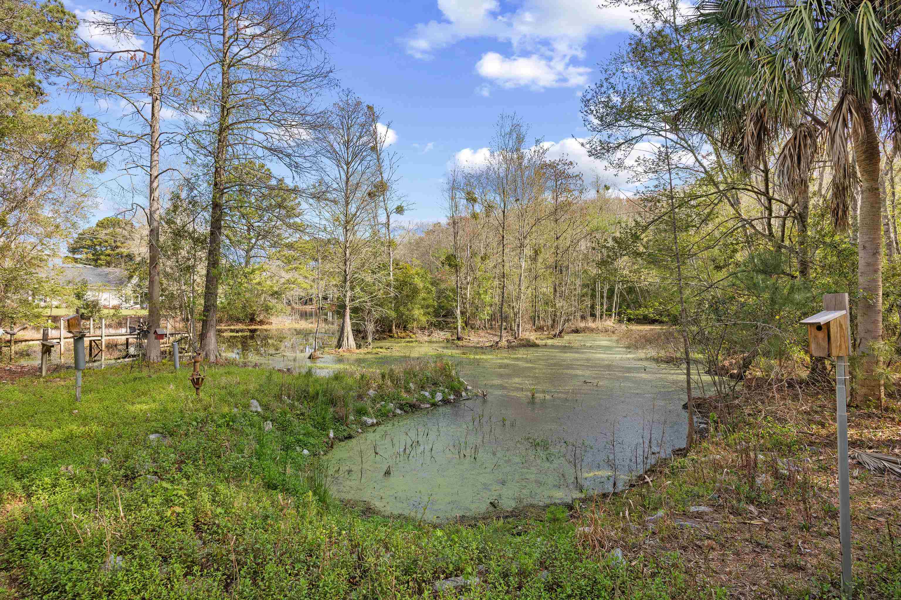 225 Red Maple Dr.