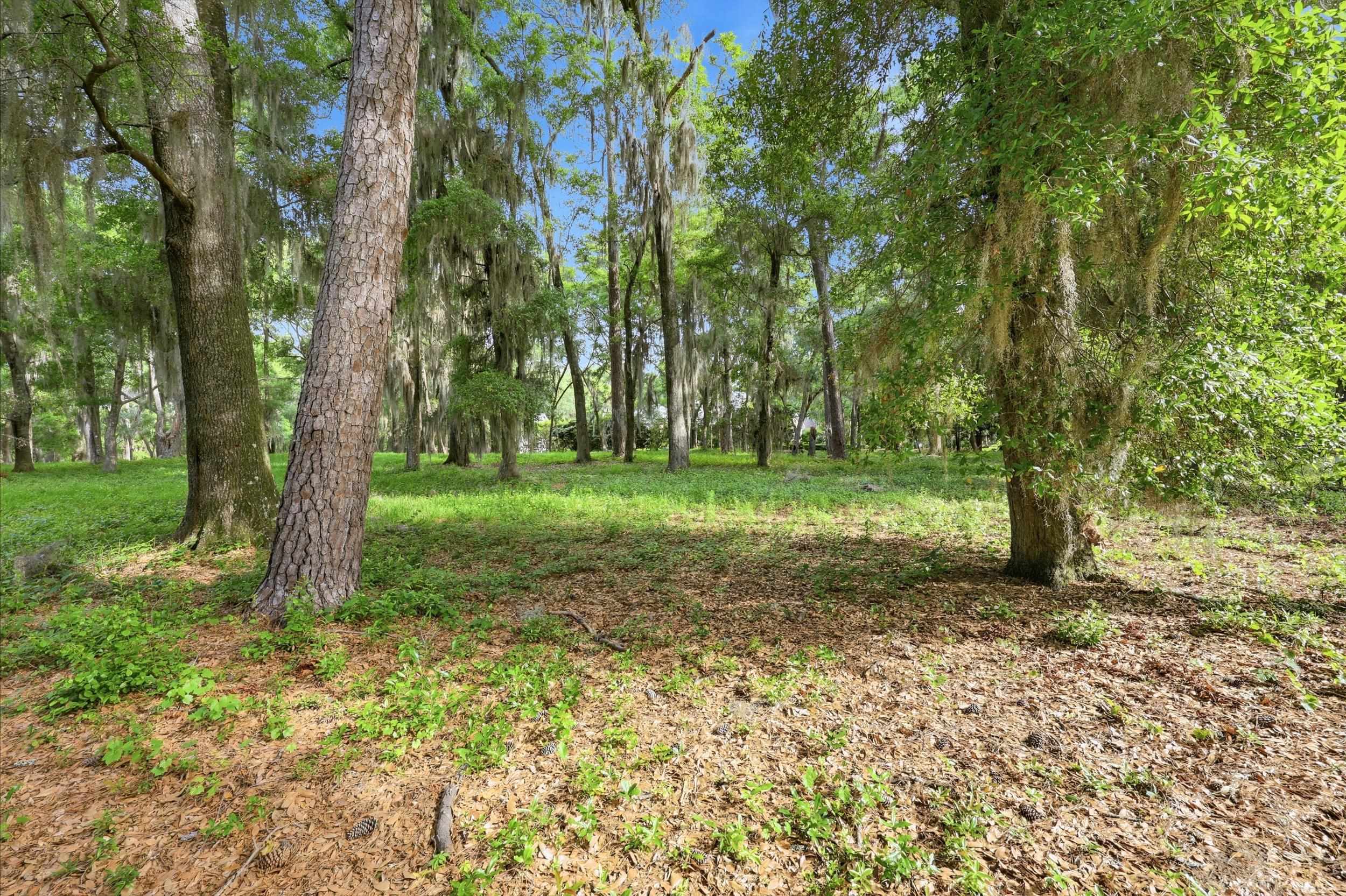 116 Sandy Ridge Loop