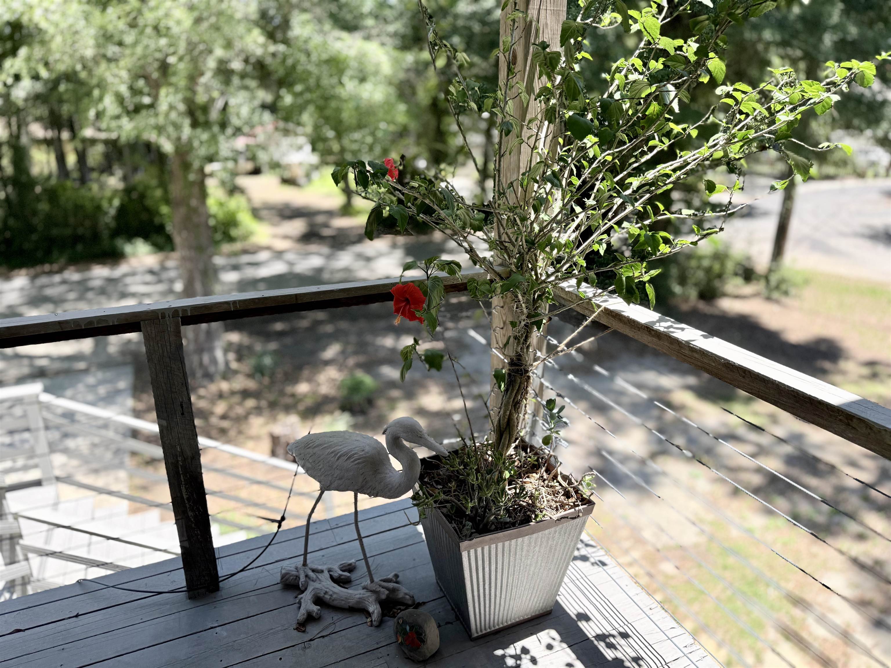 709 Old Waccamaw Dr.