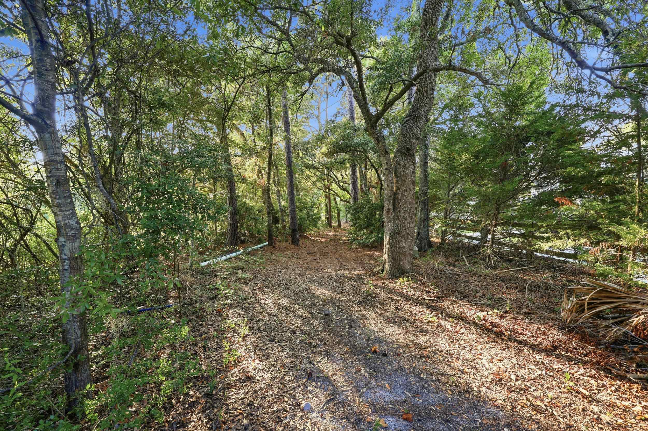 159 Wisteria Plantation Dr.