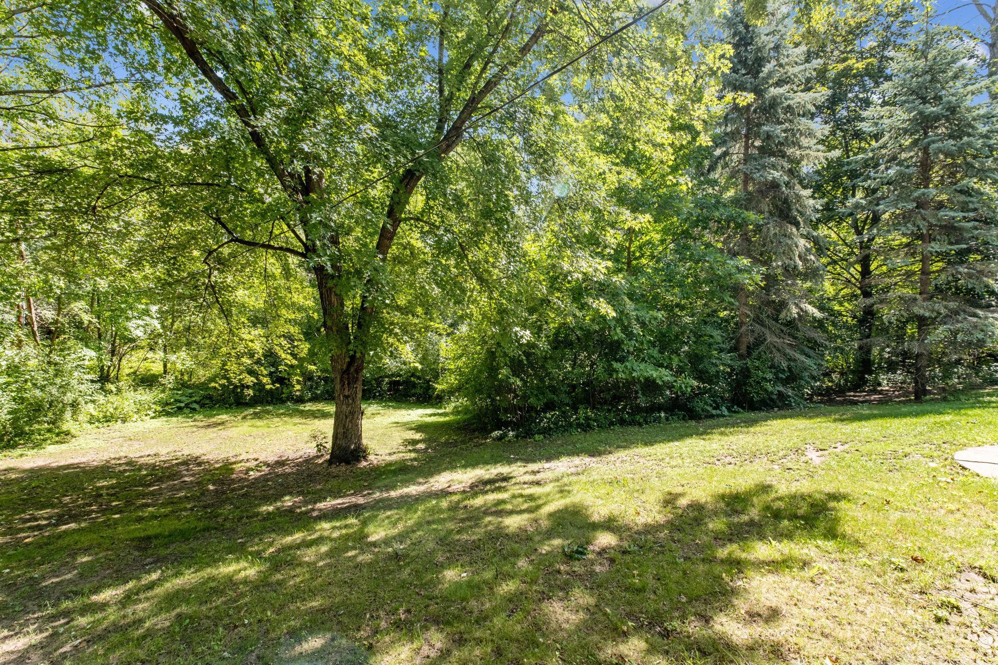 13540 Wentworth Trail