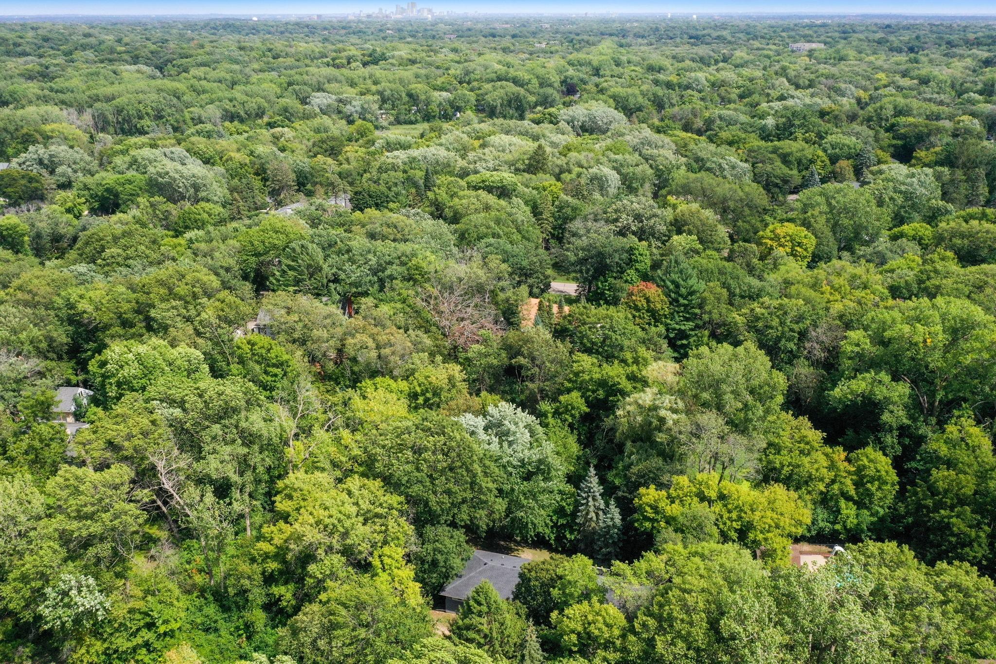 13540 Wentworth Trail