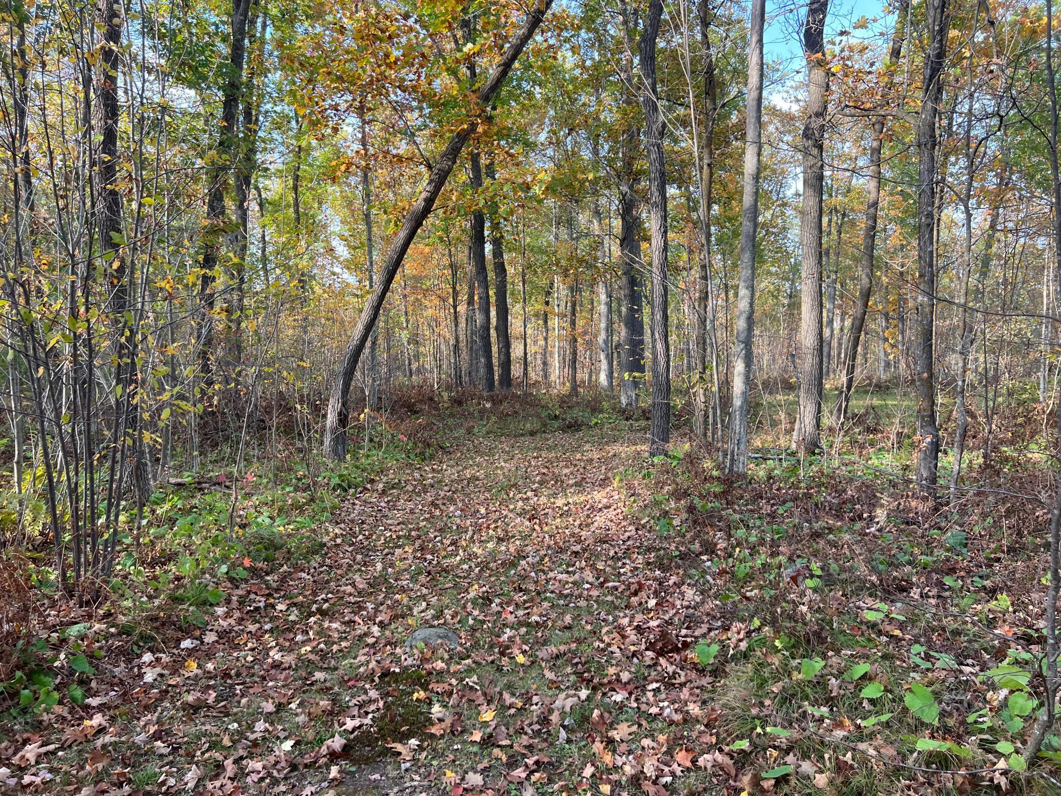 73855 Markville Road