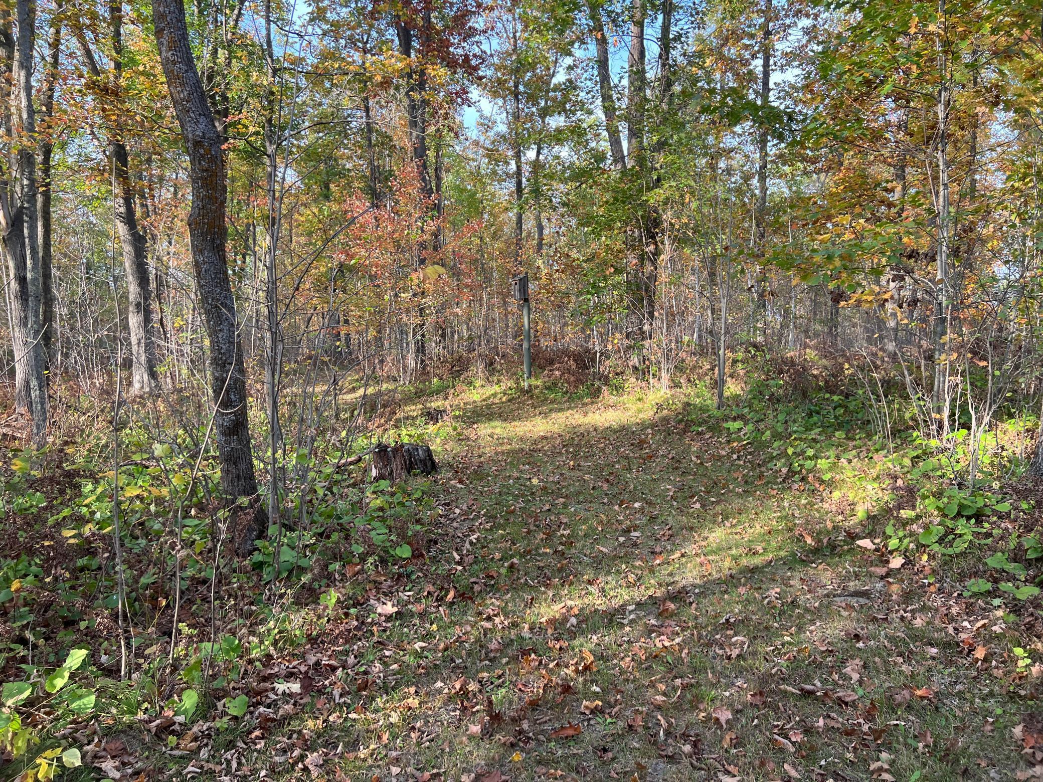 73855 Markville Road
