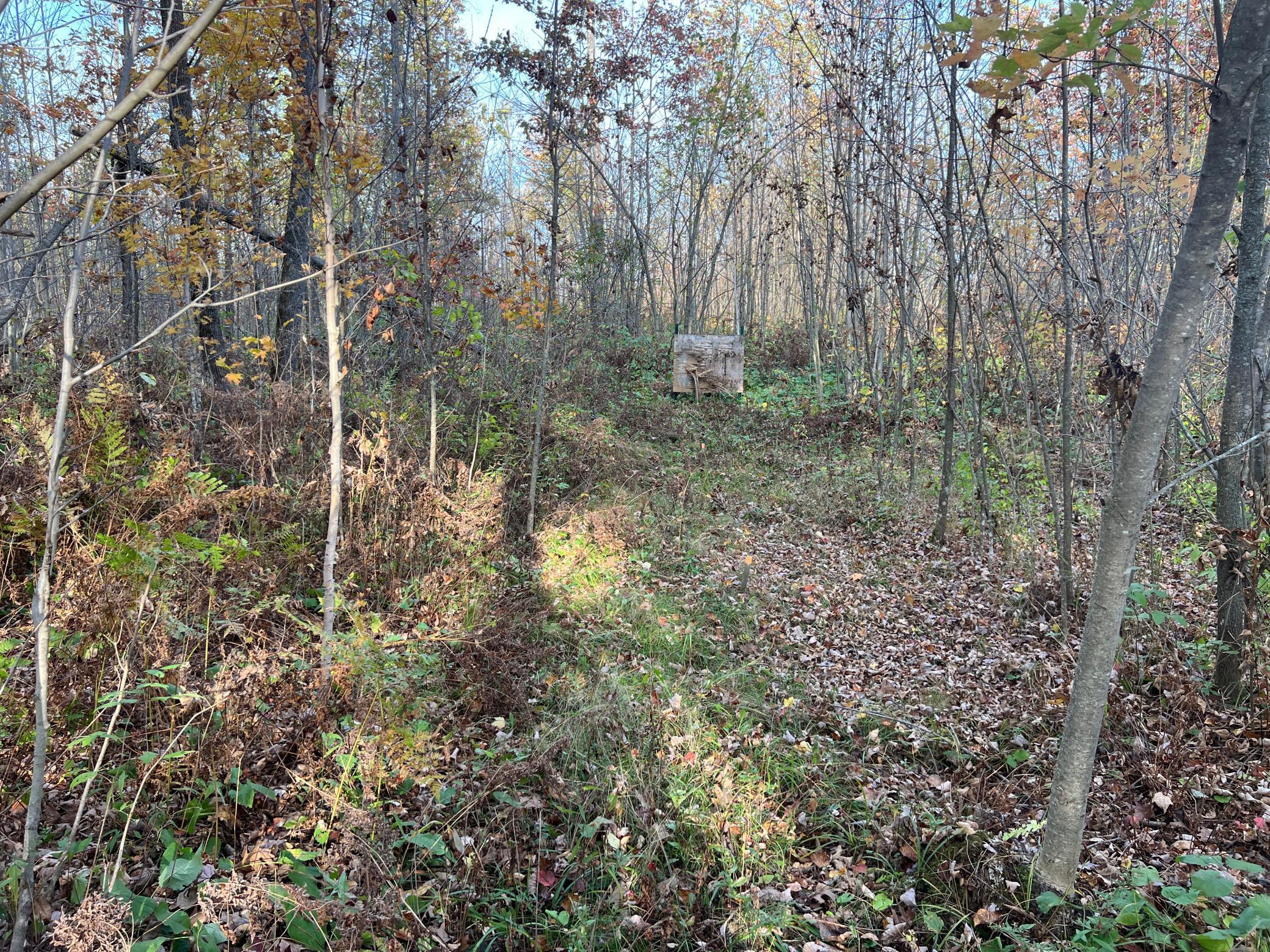 73855 Markville Road