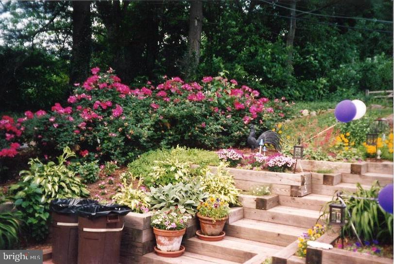 81 S FORGE MANOR DRIVE