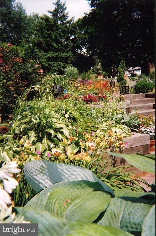 81 S FORGE MANOR DRIVE