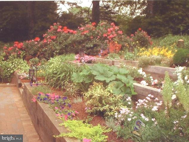 81 S FORGE MANOR DRIVE