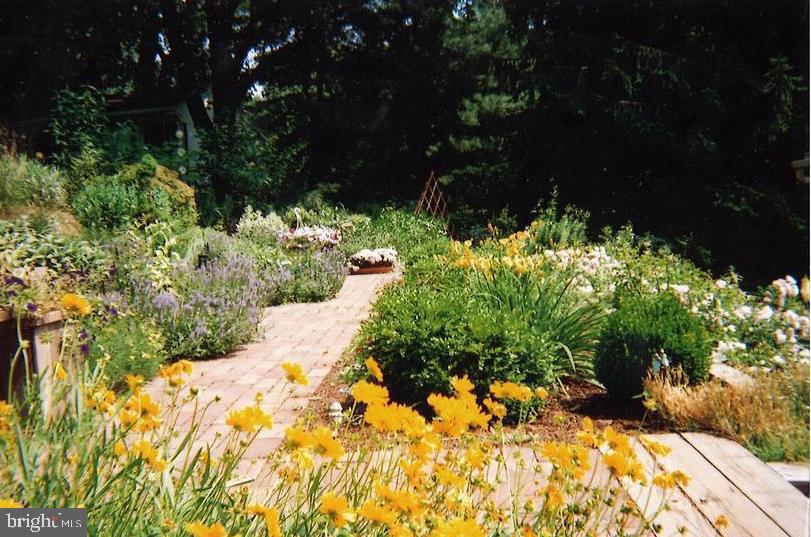 81 S FORGE MANOR DRIVE