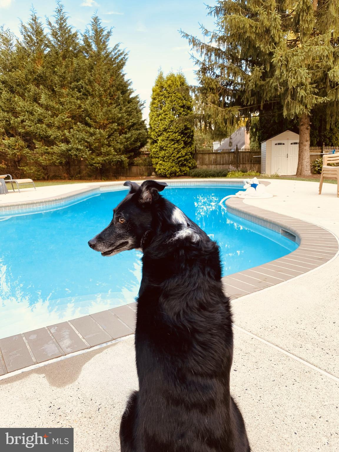 407 SAINT ANNS CIRCLE