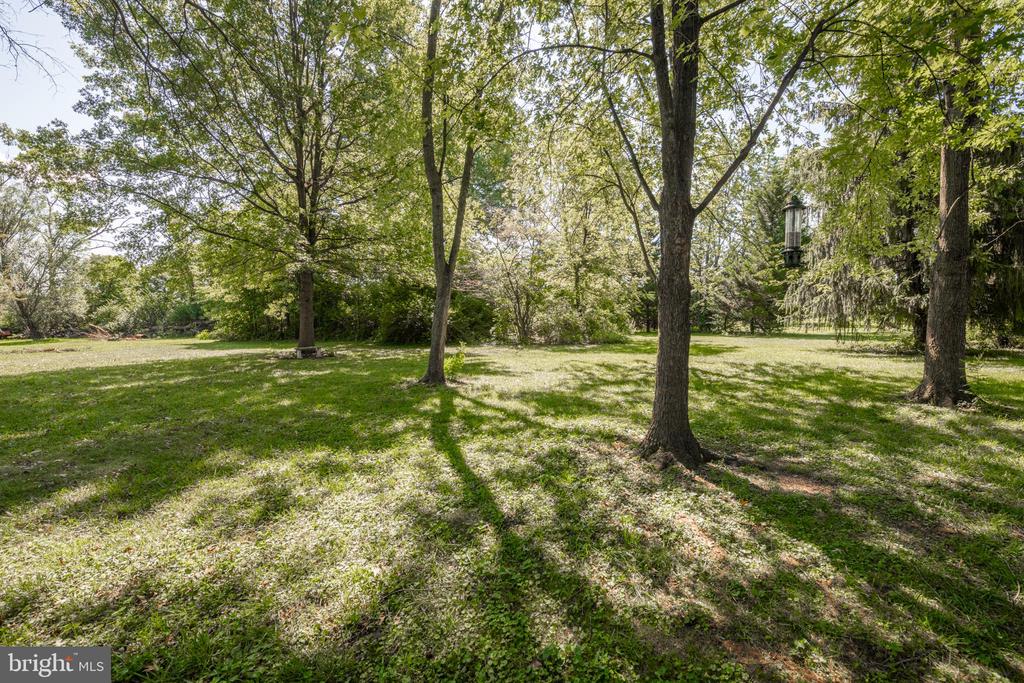 85 COUNTRY LANE
