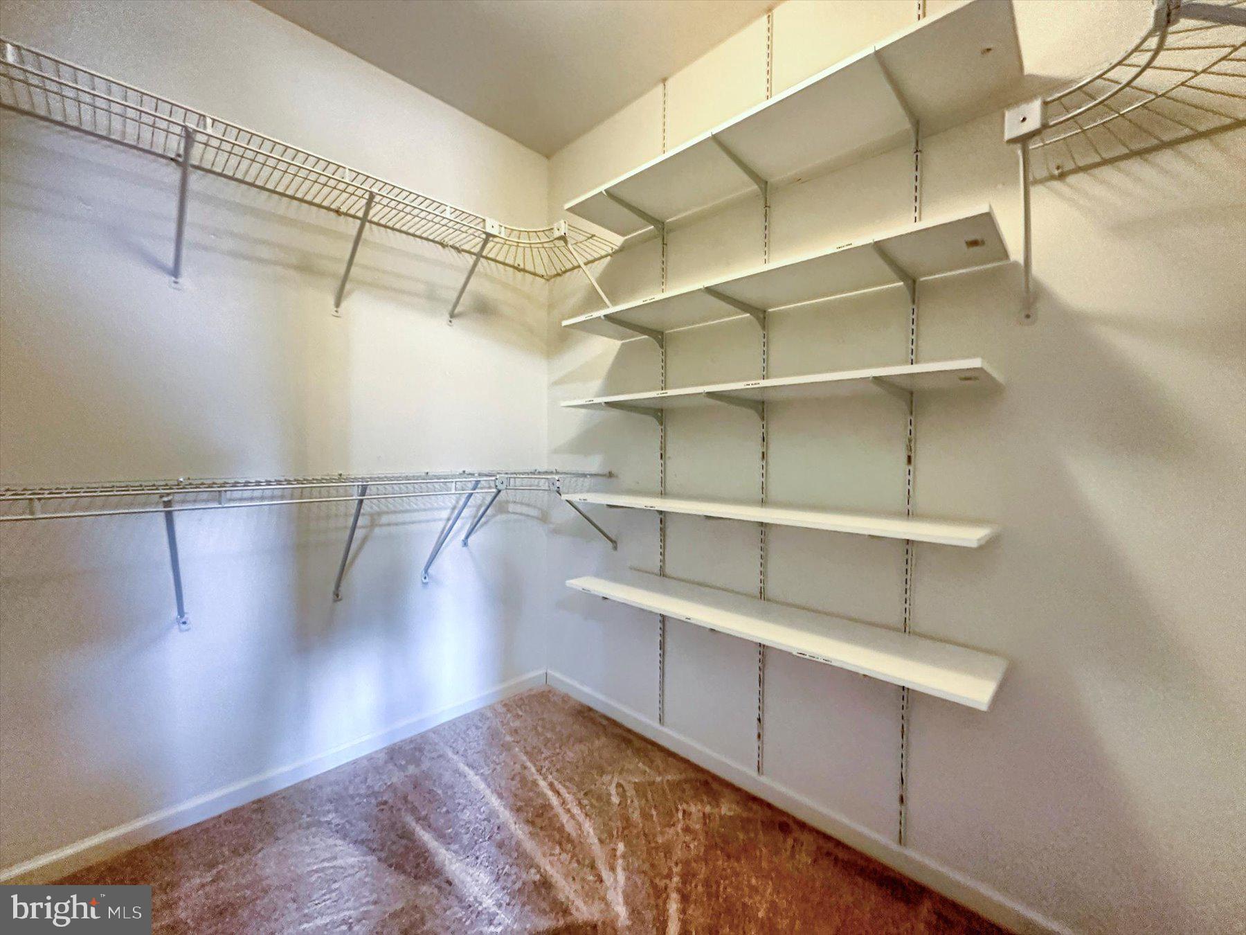 403 CHESTNUT TREE ROAD