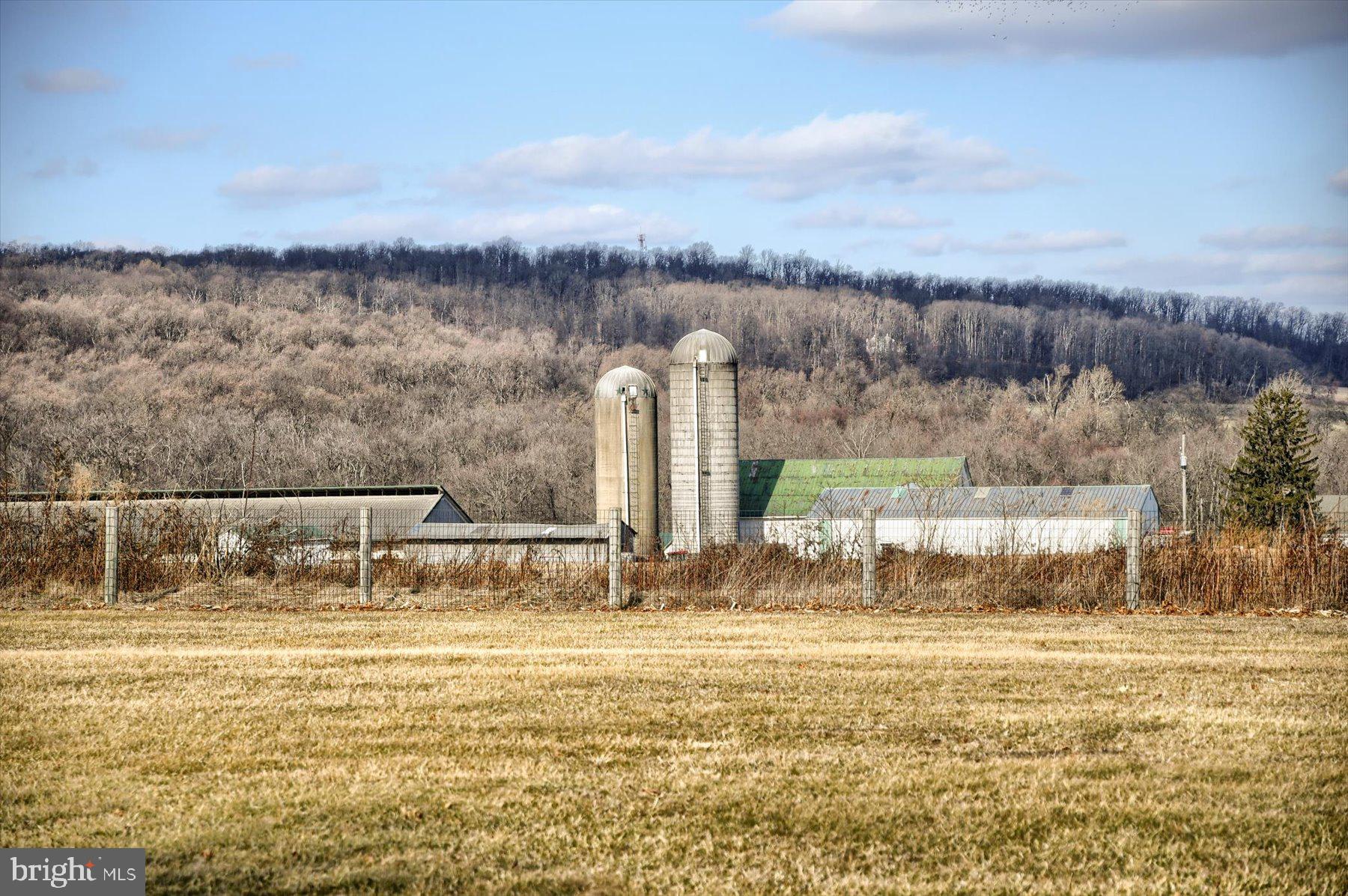 403 CHESTNUT TREE ROAD