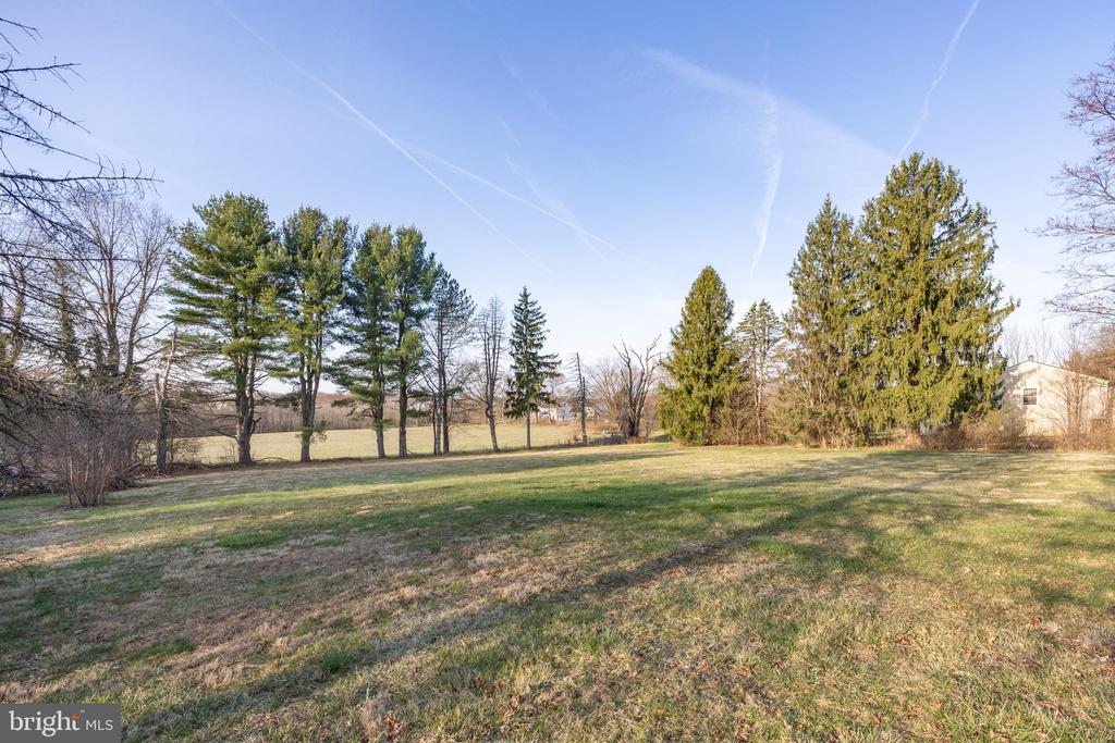 290 STONY RUN ROAD