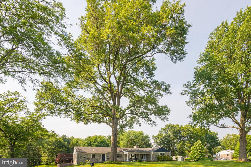 1409 KUTZ DRIVE