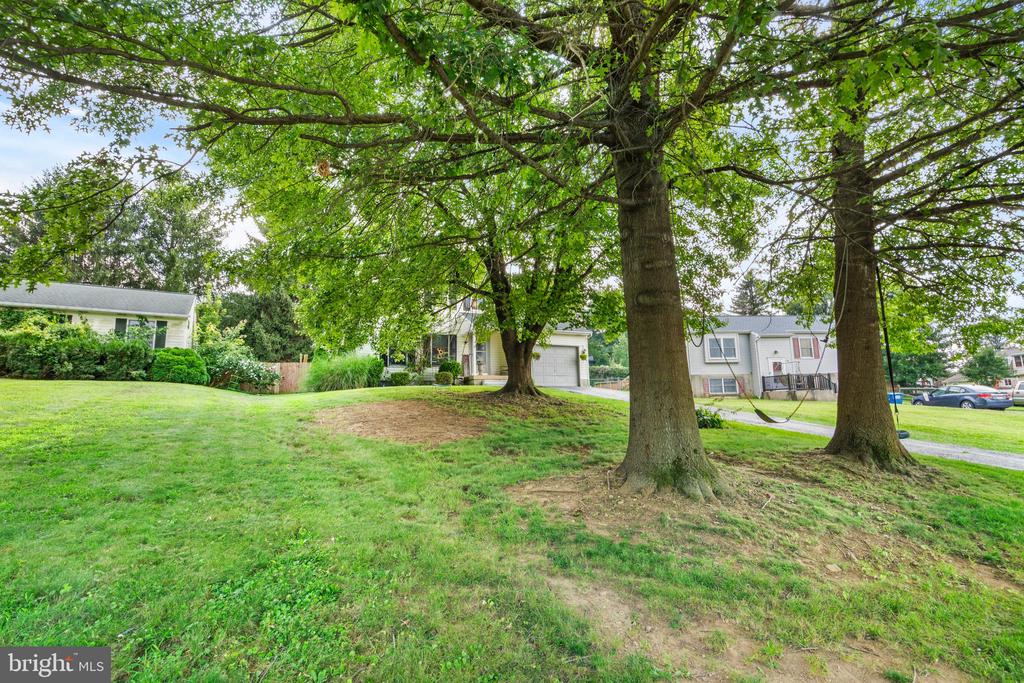50 NEVIN DRIVE