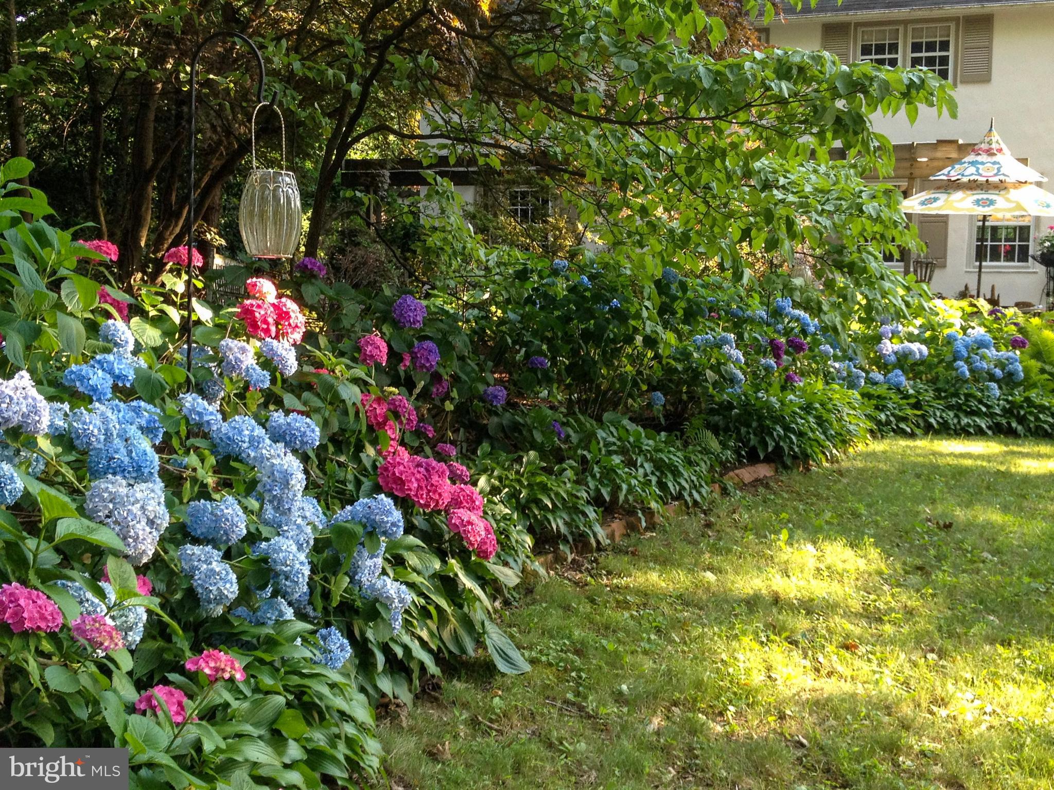 457 SCHOOL HOUSE LANE