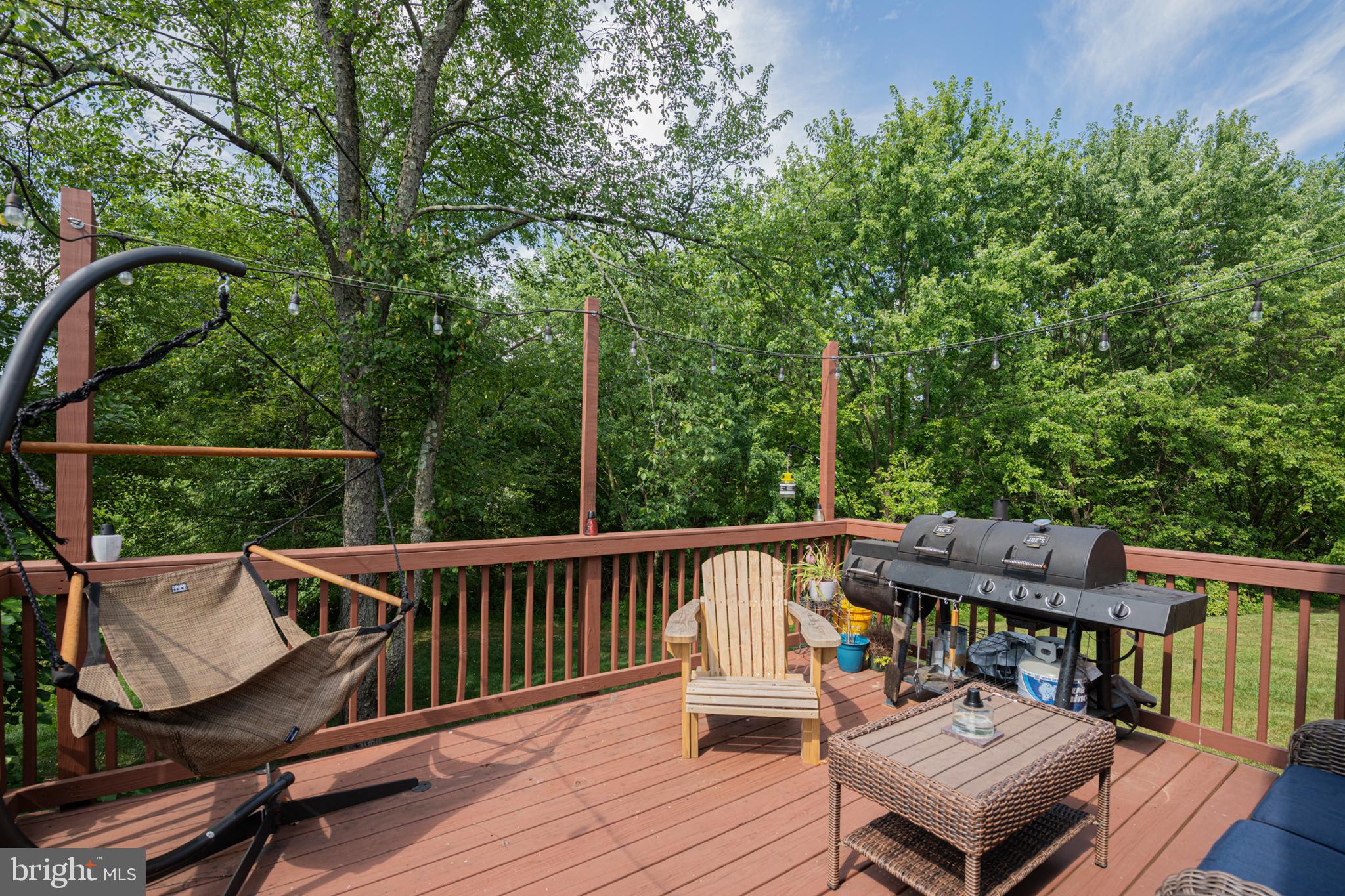 303 COUNTRYSIDE COURT