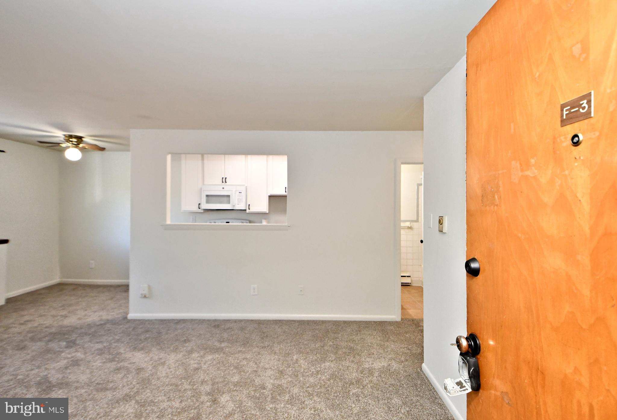 447 N PINE STREET F3