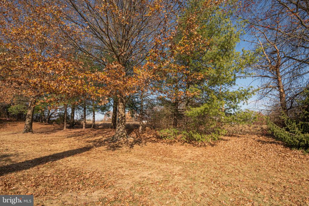 125 AZALEA CIRCLE
