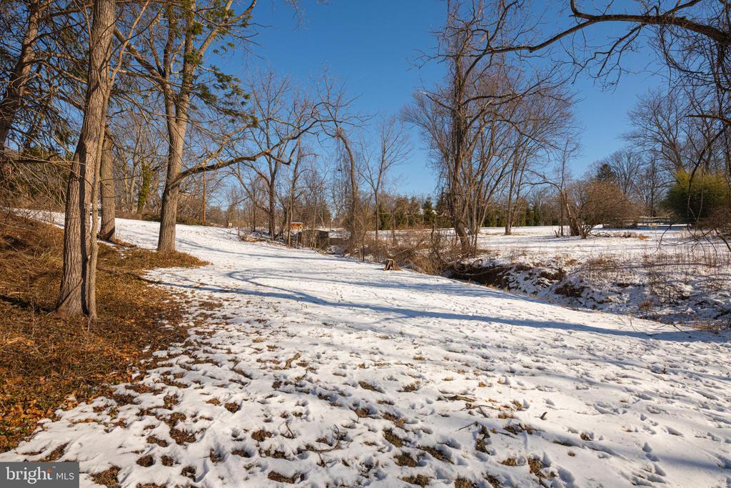 1230 BUTTONWOOD DRIVE