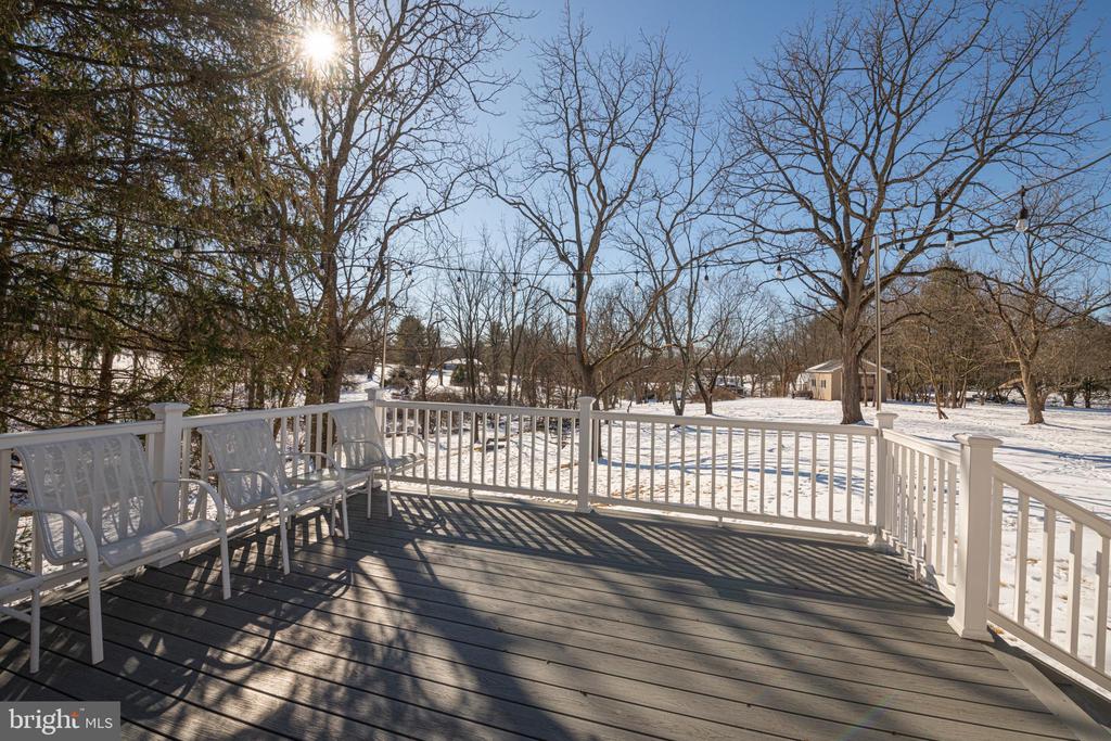 1230 BUTTONWOOD DRIVE