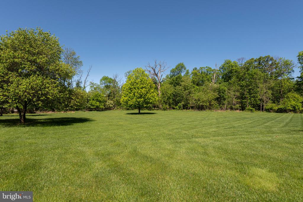 1438 REINER ROAD