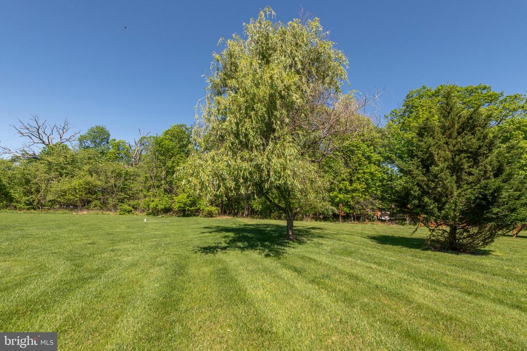 1438 REINER ROAD