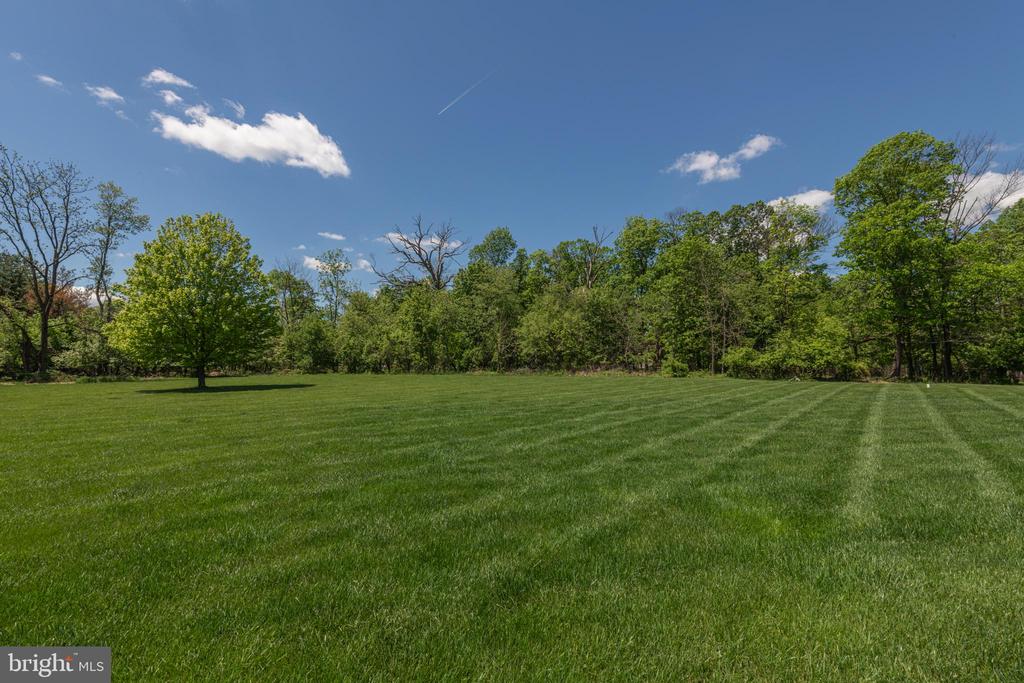 1438 REINER ROAD