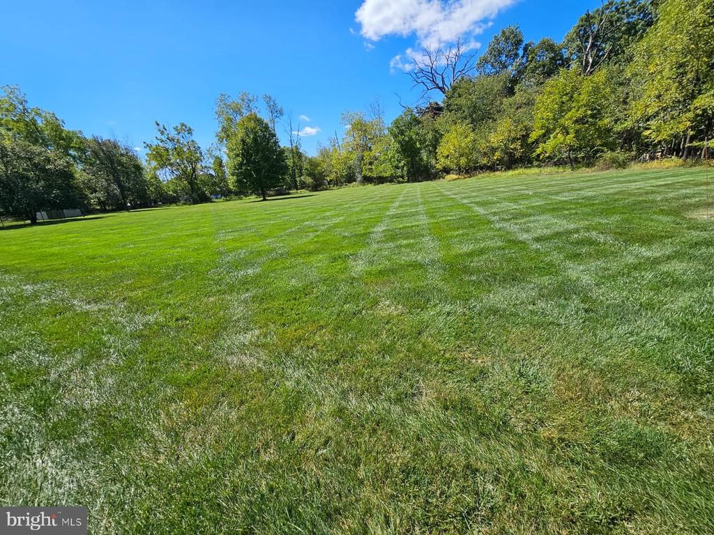 1438 REINER ROAD