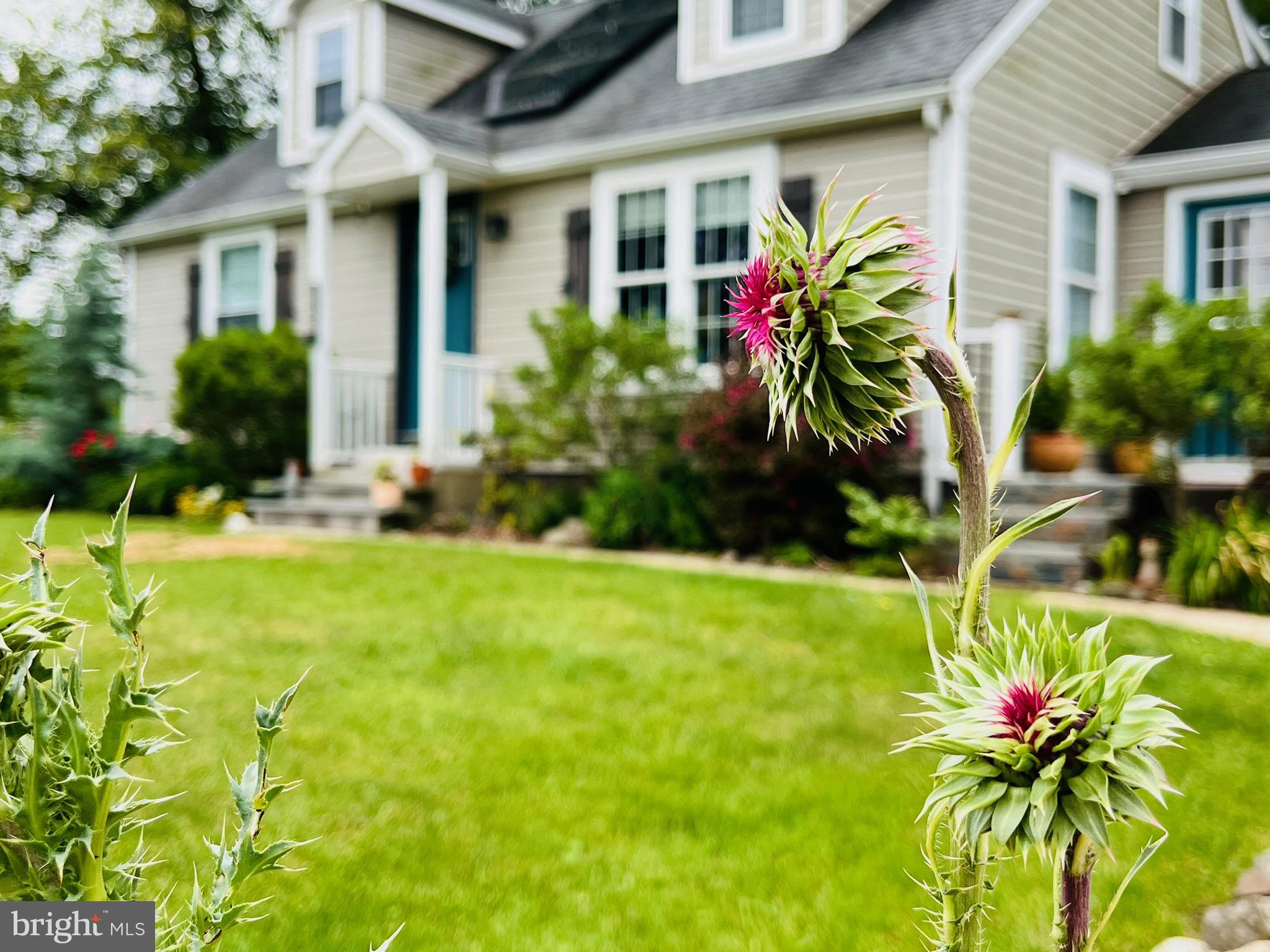 1720 FARMINGTON AVENUE