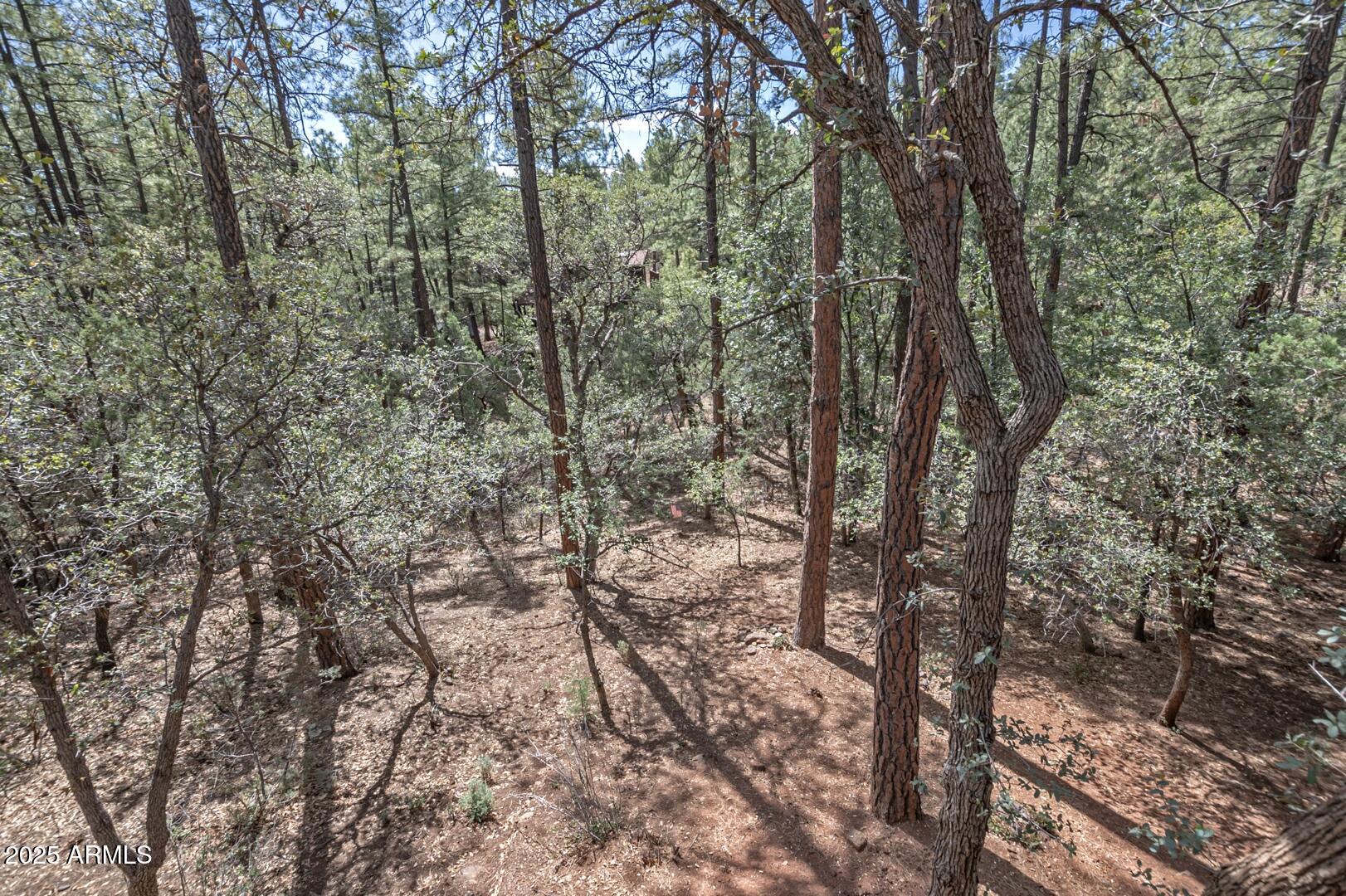 6803 W UTE Trail W