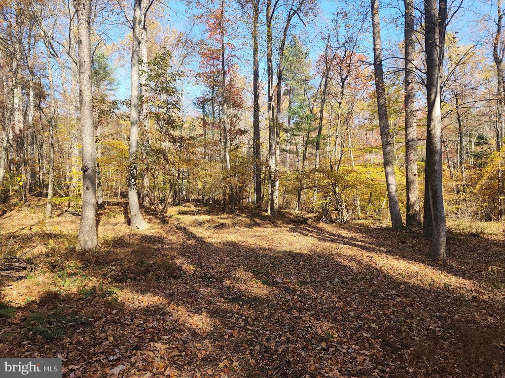 202 Pebble Ln