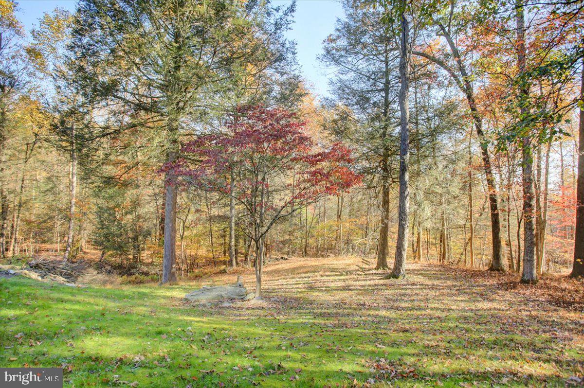 202 Pebble Ln