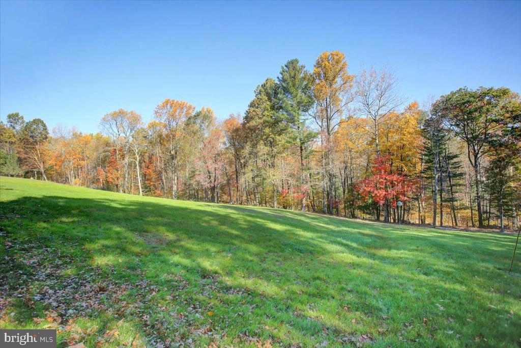 202 Pebble Ln