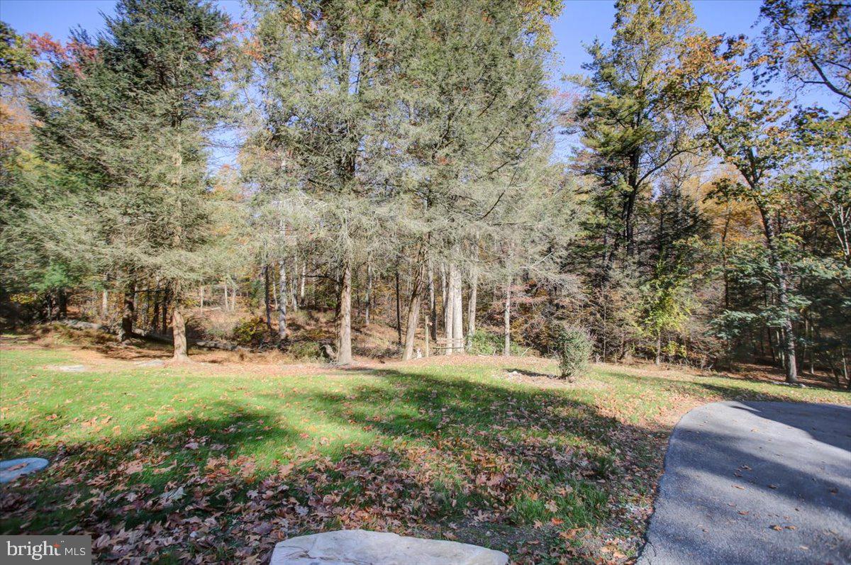 202 Pebble Ln