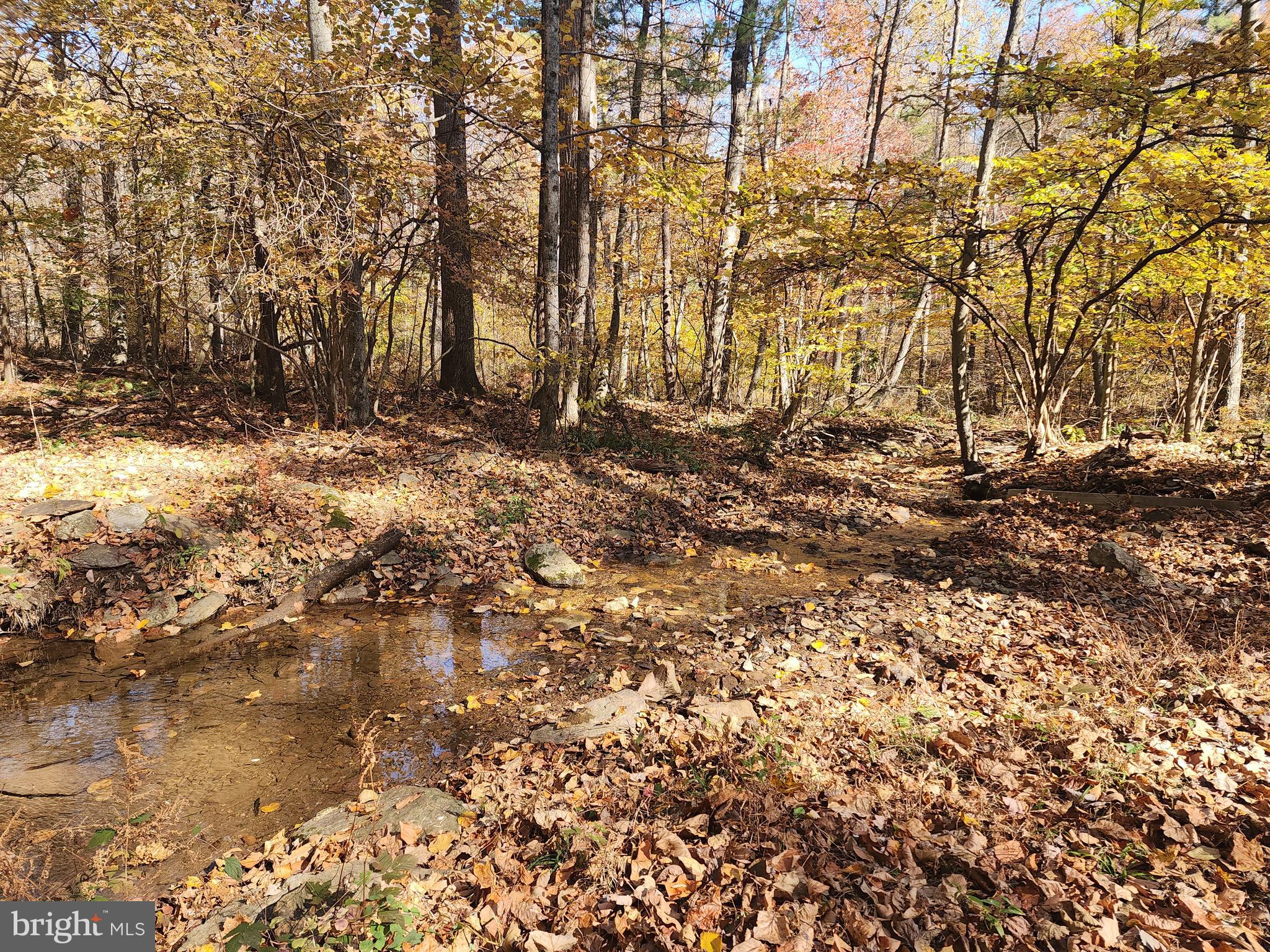 202 Pebble Ln