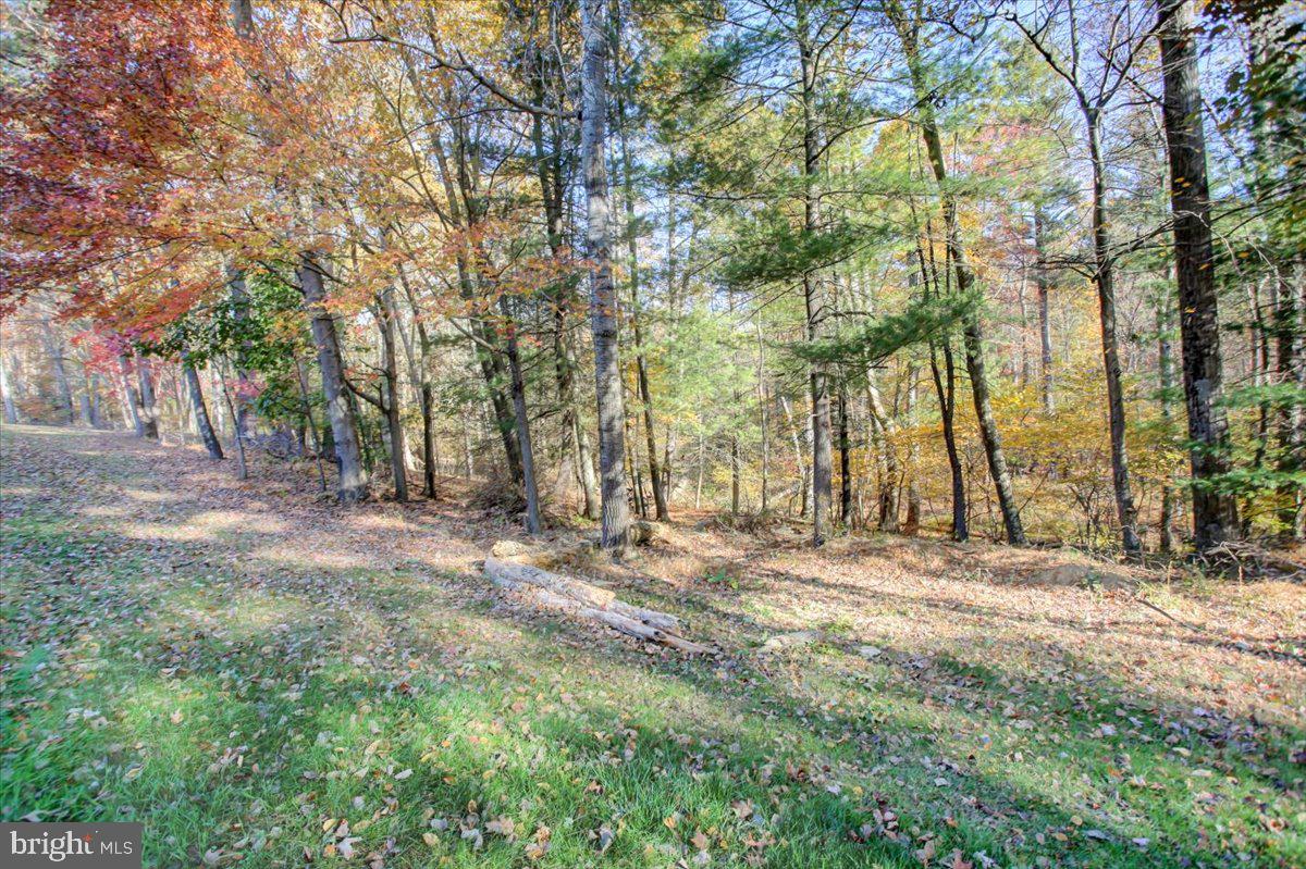 202 Pebble Ln