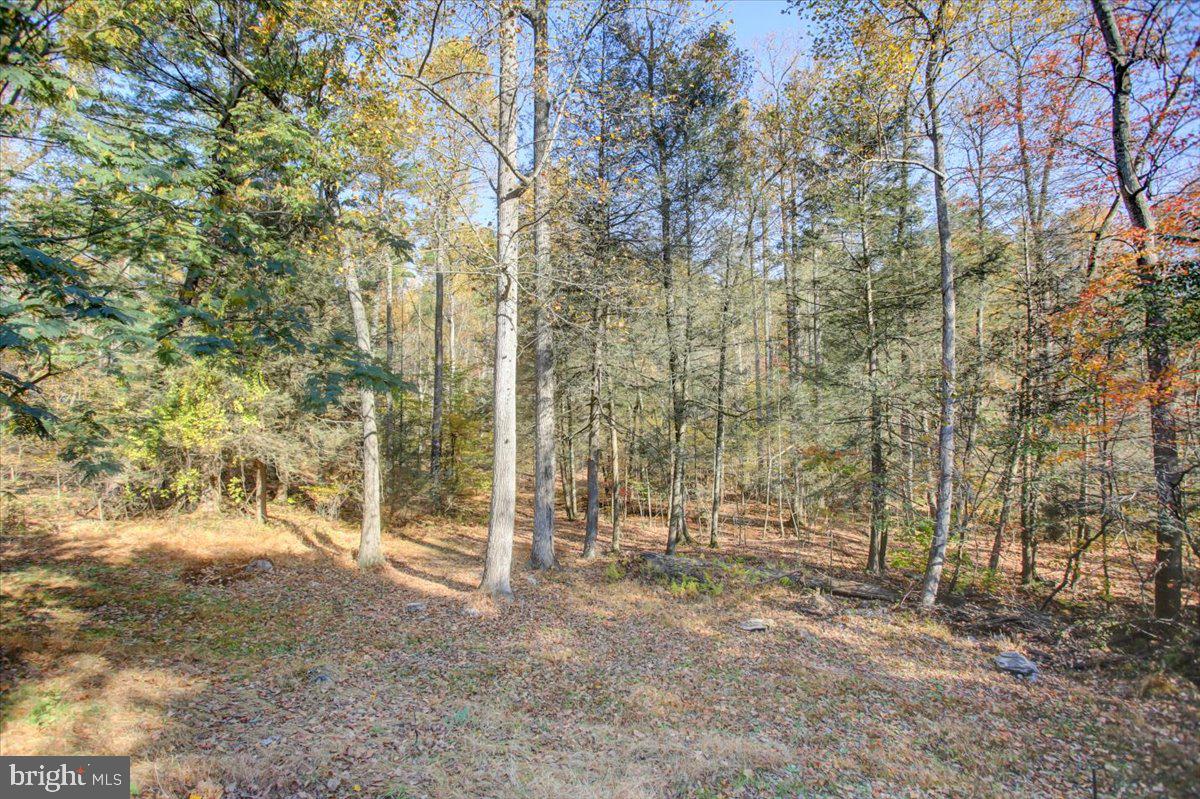 202 Pebble Ln