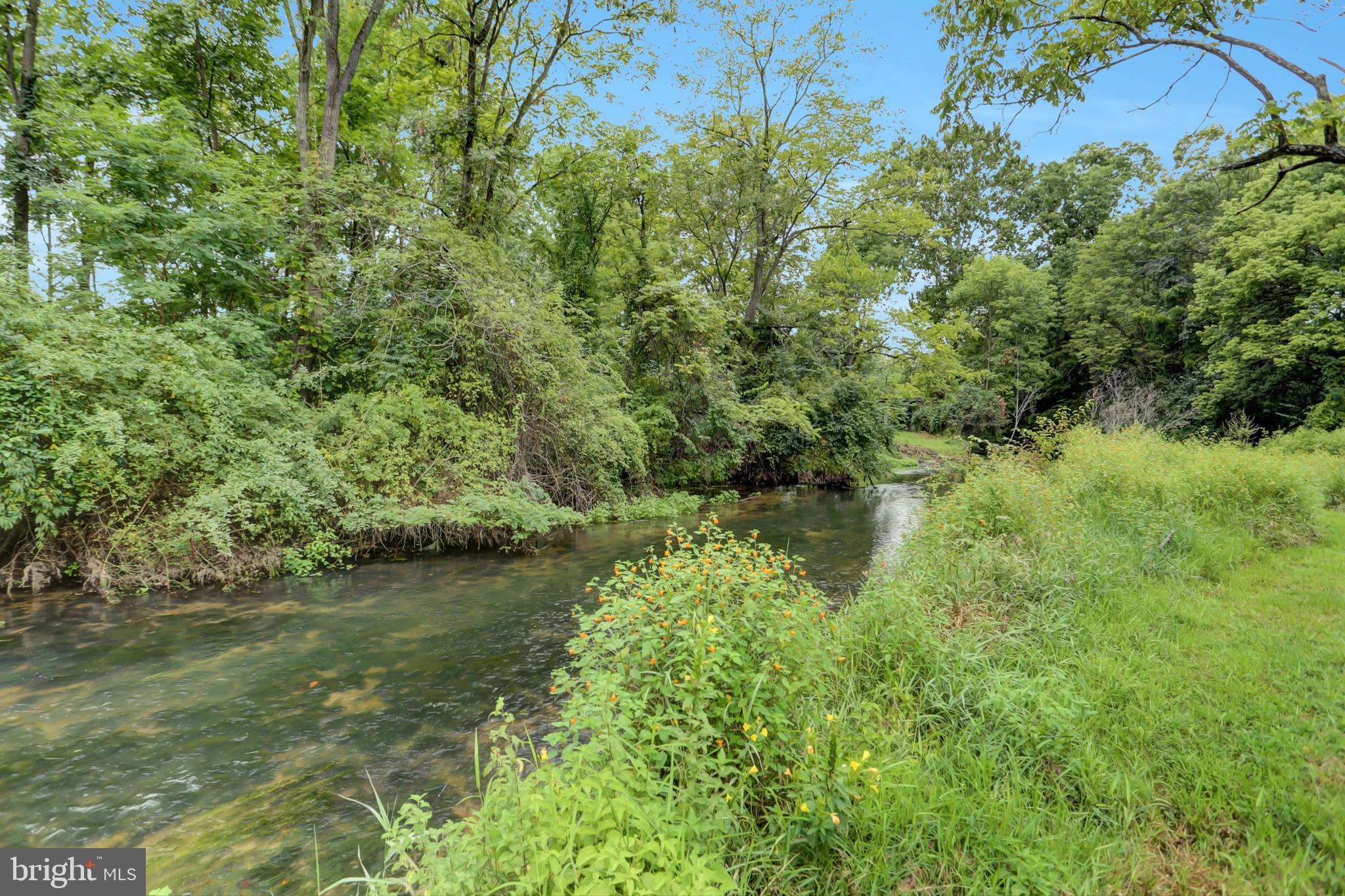 50 Fish Hatchery Rd
