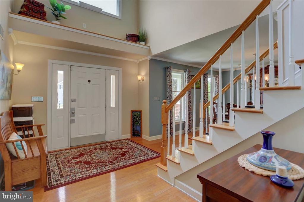 407 William Dr