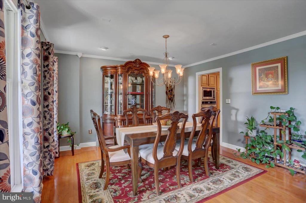 407 William Dr