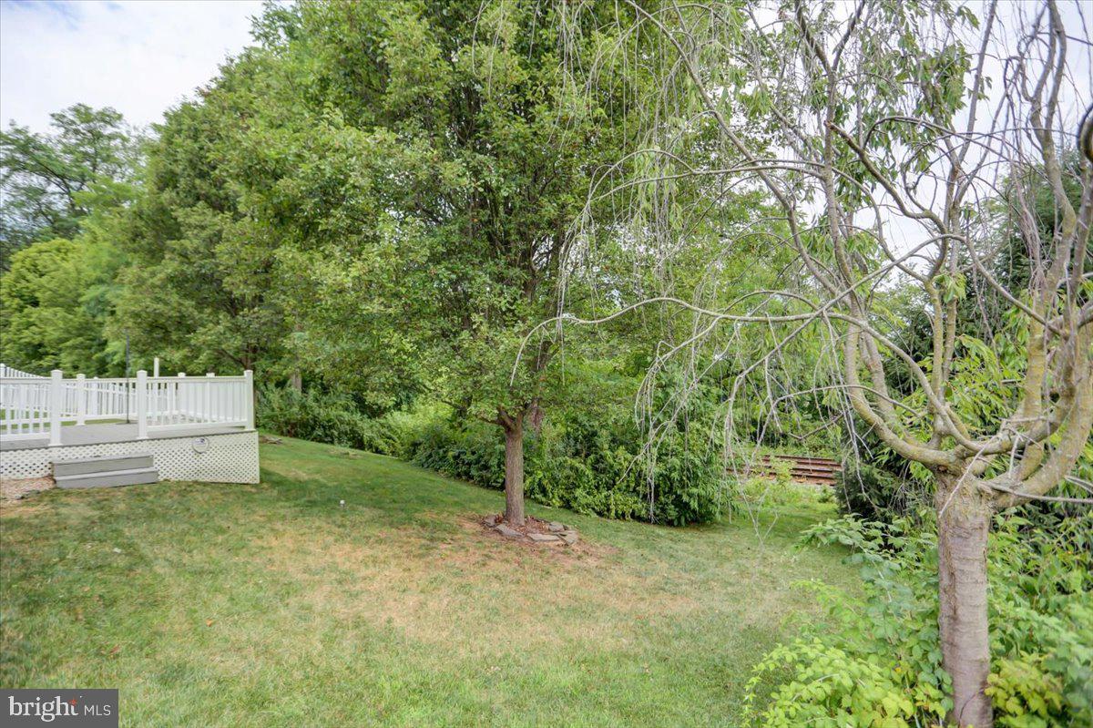 46 Lantern Ln